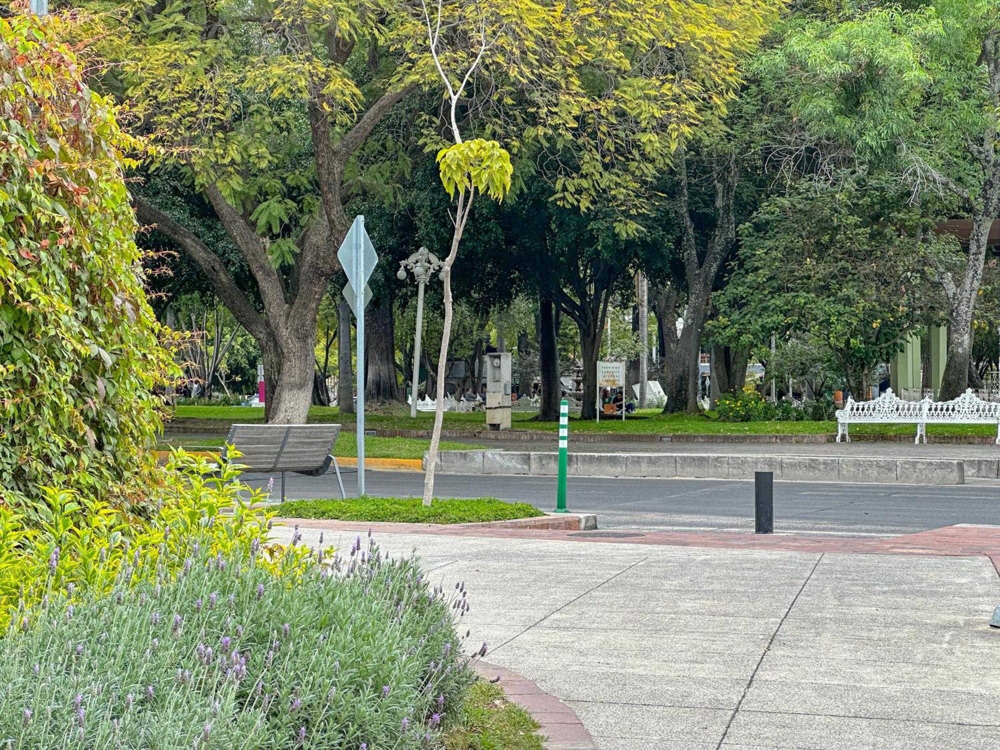 Estudio 3 /Glorieta Chapalita Guadalajara Exterior foto