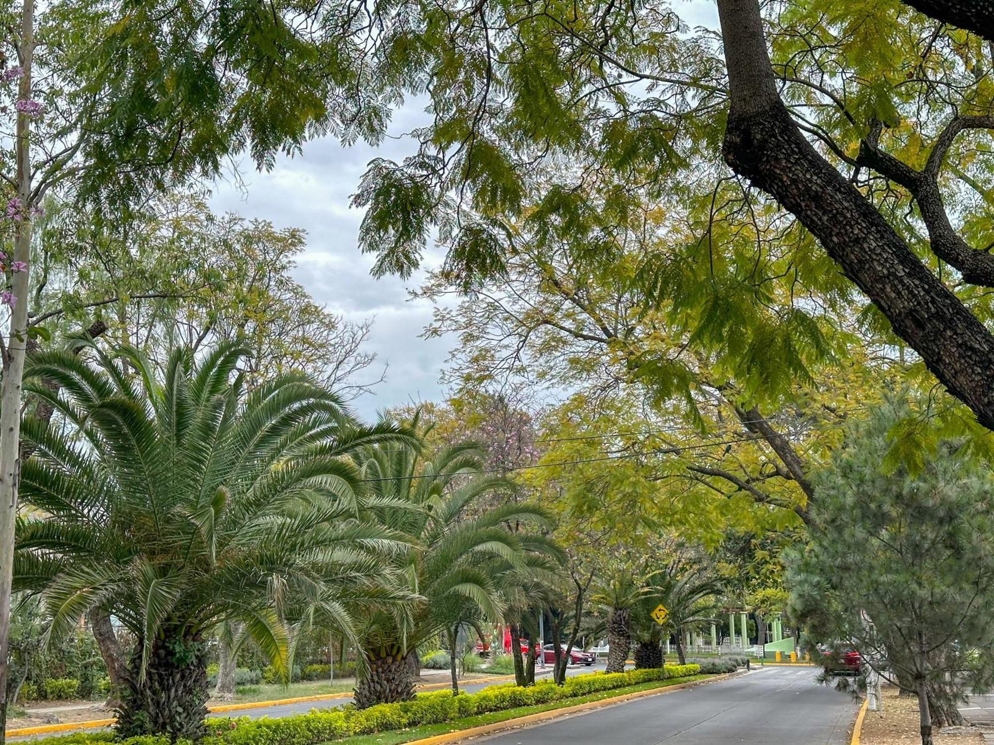 Estudio 3 /Glorieta Chapalita Guadalajara Exterior foto